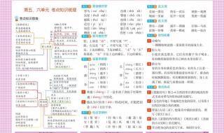 三年级上册语文复习